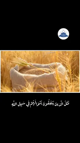 #مثل_الذين_ينفقون_اموالهم_في_سبيل_الله #عبدالباسط #عبدالباسط_عبدالصمد #قران #قراءن_كريم #تلاوه #ايات_قرآنية #محتوى_هادف #محتوي_ديني #ادعيه #اكسبلور #متابعه #السعودية🇸🇦 #مصر 
