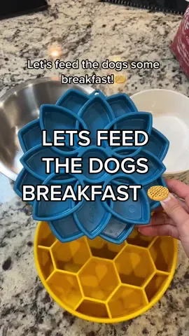 Let’s feed the dogs some breakfast🧇 I’m so happy to have got them new slowfeeders! #dogfeeding #dogfeedingidea #doberman  I feel like my dogs get bored so easily so I like to switch it up hahah #dogfoodrecipe 