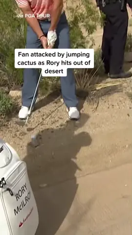 Sticky situation 🌵 #golf #fyp #RoryMcIlroy #cactus #PGATOUR 