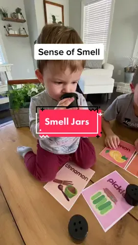 Smell Jars are such a fun way to talk about our sense of smell! #fivesenses #smell #makelearningfun #preschoolactivities #preschoolteacher #preschool #kindergarten #kinder #kindergartenteacher #homeschool #homeschoolmom #homeschoolactivities #preschoolhomeschool #MomsofTikTok #teachersoftiktok #momtok #teach #teacherentrepreneurs #song 