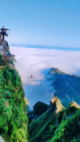一起爬山看云海，是一种特别的浪漫#中国张家界 #风景视频 #中国旅游