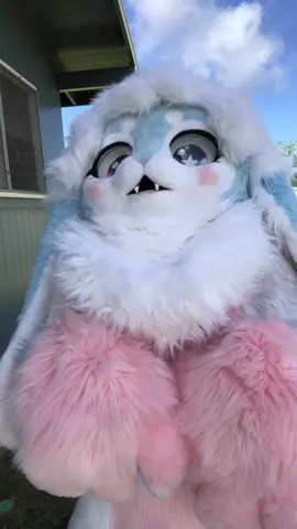 UWAAAA (case 143 by skz is a bop i cant stop listening to it) #furry #fursuit #kemono #kemonofursuit #bunny #furryfandom #fursuitfriday 