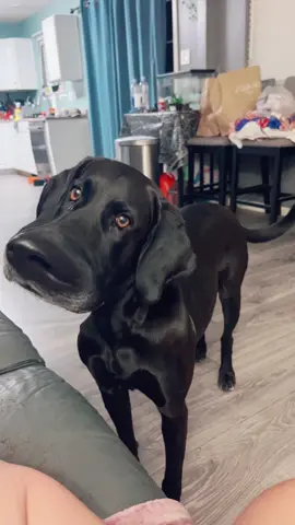 #Luna 