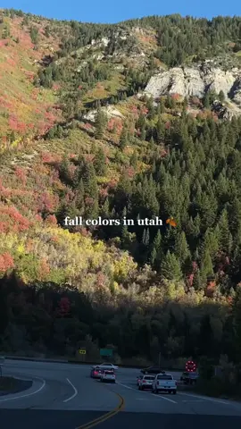 10/10 recommend for locals or visitors 🍂🫶🏼 #utah #utahcheck #utahmom #fallcolors #fall #autumn #utahlife #fallleaves 