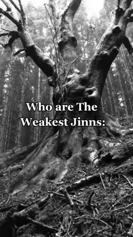 Weakest Jinns: Hinn #foryou #fypシ #yoicedcoffee #ghostfacts  #explore  #explorepage #djinn #scaryfacts #creepyfacts #horrorfacts #jinnfacts #jinny #hinn 