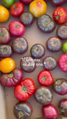 one day or day one? ✨ stop waiting for tomorrow, a new month, when life slows down, or the right time. 🌈 you can start adding new habits or implementing new routines into your day at any moment. motivation won’t always be there, but showing up and committing to yourself is sooo worth it. #burnoutrecovery #registereddieitian #balancedlifestyle #burnout #stressed #hormoneimbalance #wiredandtired 