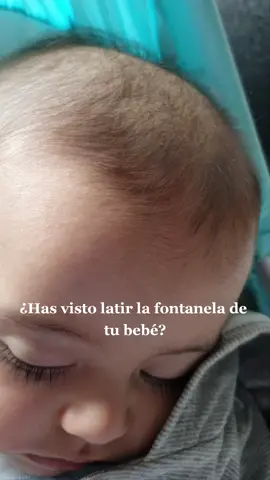 #lactanciamaterna #momlife #Love #babies #bebe #cutebaby #mamaprimeriza #babylove #parati #bebestiktoks #babyboy #babymama #baby #like #bebes #newborn #reciennacido #4mesesdeamor👶🏻🍼🦕✨🐳 #4meses #salud #pediatria 