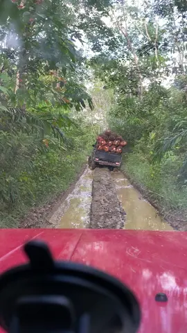 Senam jantung😂#offroad #langsirsawit #hiline4x4 