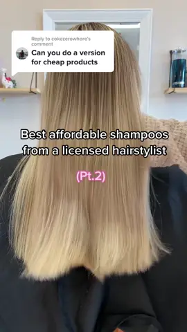 Replying to @cokezerowhore Pt 2! Affordable version! 💖#drugstoreshampoo #bestshampoo #hairtok #fyp #hairstyist #liscensedcosmetologist #FlexEveryAngle #greenscreen  