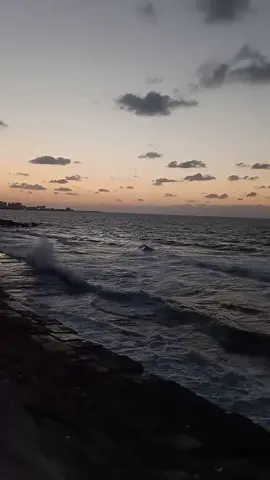 مركب ورق قلبى بتعاند المجادير ...#اسكندرية👑 #الاسكندرانيه❤️🧜🏻‍♀️ #اسكندرانية🌊❤ #فوريو_foryou #fyfyp #fypシ #tiktokgallery #الاسكندريه 