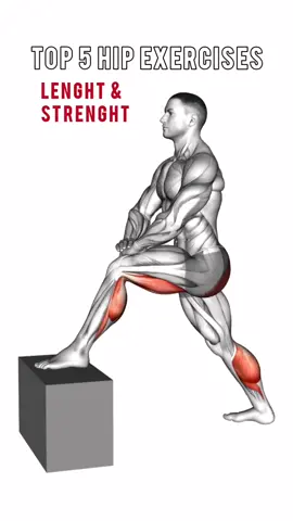 My top exercises for hip flexors - strength and lenght 💪 Inspiration from @Ben Patrick  Check him out🔝  . . . #hipflexors #hipflexorstretch #hipflexorexercise #hipmobility #hippain #hipexercise #lowbackpain #groinpain #hippainrelief #stronghips #kneesovertoesguy #kneesovertoes #strengthtraining #GymTok 