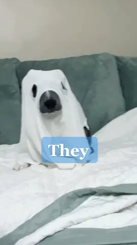#kidjokes #halloweenjokes 