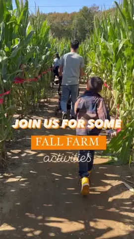 Fall Fun 🎃 #pumpkinpatch #fallactivities #fallvibes #fypシ 