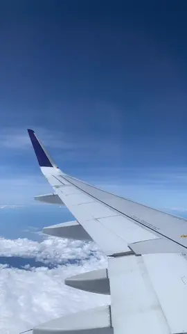 bali never fails