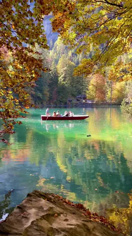 Autumn in Switzerland 🇨🇭 #autumn #switzerland #shotoniphone #dreamplace #swiss