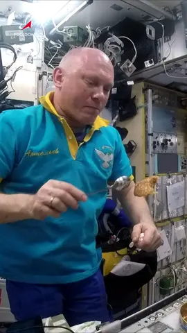 Космические #консервы //#Space #canned food// #космическаяеда #космонавт #мкс #космос #ОлегАртемьев #голубцы  #iss  #cosmonaut #cosmos #OlegArtemiev
