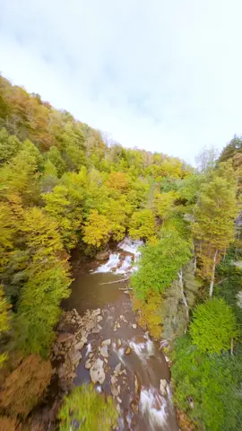 Autumn in West Virginia #westvirginia #fpvpilot #dronestagram 
