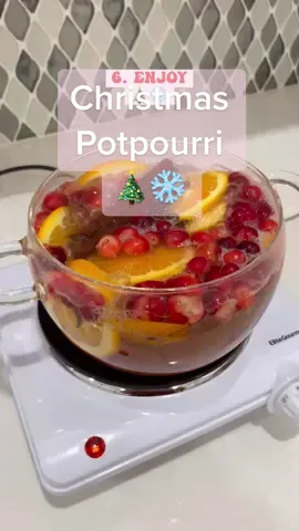 Save for Christmas szn 🎄❄️✨ #potpourri #christmas #christmassmells #stovetoppotpourri #christmasdiy 