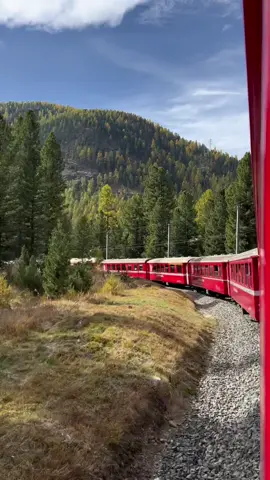 #switzerland #berninaexpress #beautiful #foliage #autumn #train #fyp #MindfulWearing #foryoupage 