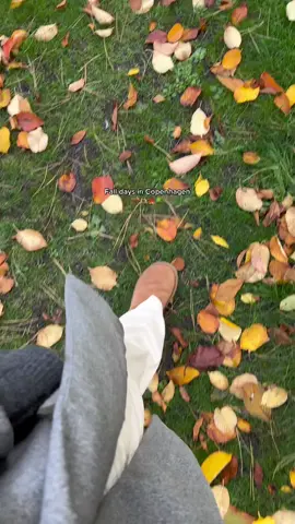 Spend an alone day with me in Copenhagen. I love days spending time with myself 🫶🏼🍁🍃 #octobermood #alonetime #romanticizelife #healthyhabits #københavn #aestheticvideos #efterår 