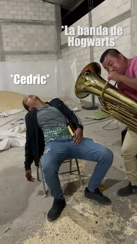 En Hogwarts todo #sevale #cedric #potterhead #meme #fyp