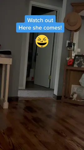#lunaroseland #englishbulldog #laserlight #Love #fast #crazygirl 