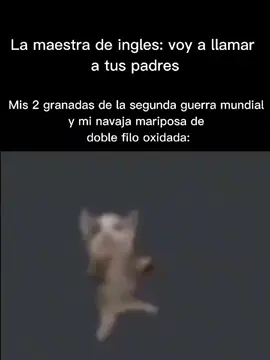 #meme #xd #sacamedelbolsillo #gato #bailando 