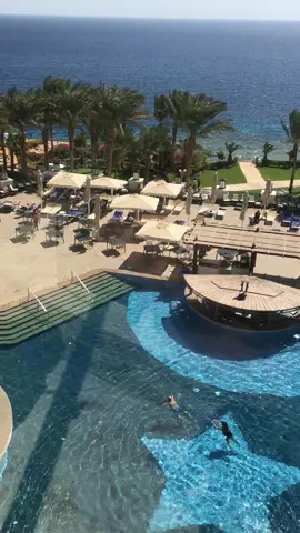 #egypt #sharmelsheikh #stelladimarehotel 