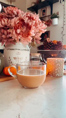 The weather is so cozy today, hot coffee it is! 🤎☕️🤎☕️ #slowliving #cozyvibes #cozyhome #fallvibes #cozykitchen #homecafe #pumpkinseason #coffee #cozymorning #sweaterweather 