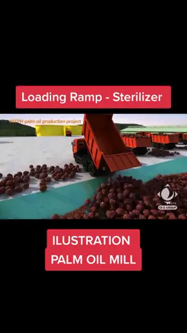 PALM OIL PROCESSING Sortasi, artinya memisahkan TBS kelapa sawit dari pengotor seperti ranting, pasir, tandan kosong (empty bunch), sedangkan Grading (berasal dari kata grade / memberi klasifikasi) yang artinya menentukan tingkat kematangan TBS kelapa sawit. #kelapasawit #indonesia 