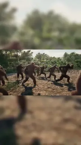 This group of chimpanzees can dance.It,s amazing.Show it to your friends.#chimpanzee #dance #magical 