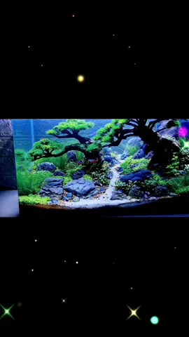 DIY aquarium landscaping, pine tree design #aquarium #auqa #landscape #landscaping #fishtan #pinetree #diyproject #DIY #fyp #homemade
