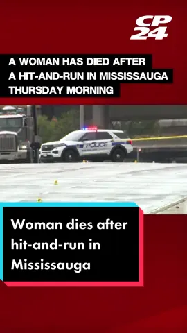 A female is dead following a hit-and-run in Mississauga early Thursday morning, Peel Regional Police say. #cp24 #news #breakingnews #cp24news #hitrun #hitandrun #police #policenews #torontopolice #torontonews #peel #peelpolice 