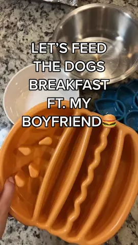 My boyfriend wanted to feed the dogs breakfast this time🍔 #dogs  As you can see he annoys tf outta me😂  #dogfoodrecipe #dogfeedingroutine 