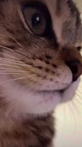 🥰
