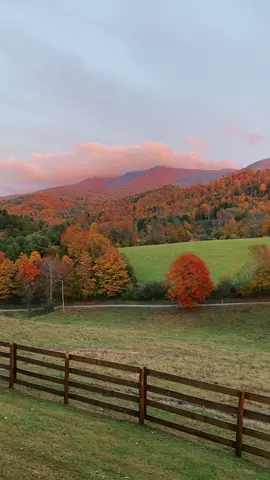 There are a lot of pretty places in the world, but you’ll never be able to convince me there is a prettier place in the fall 🍁 #appalachia #applachianmountains #rural #myfrontyard #mountainview #myheaven 