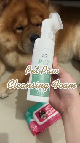 Always make sure to clean your pet’s paw using this Pet Foot Cleansing foam for only ₱108 #petpaws #pawcleaningtutorial #pawcleansingfoam #paw #PetsOfTikTok #dogsoftiktok #chowchow #petsupplies #petslover #doglover #spoileddog #fyp #tiktokshop #tiktokfinds #tiktokbudol #addtocart #tiktokaffiliate 