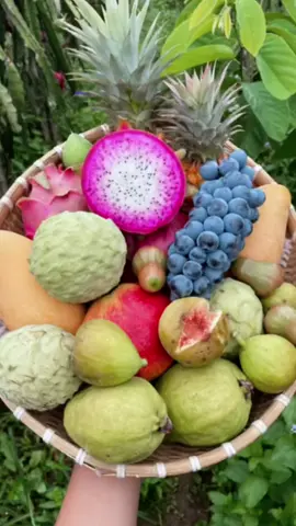 #fruit Is there anything you want?