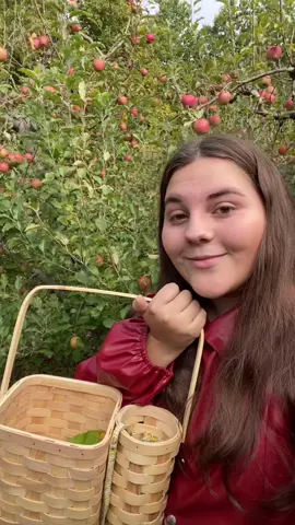 I had sm fun 🍎 #applepicking #fall #fallactivities #fatgirlfallfit 