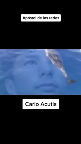 Soundtrack de la película de Carlo Acutis #unsemienapuros #seminario #soycatolico #Apostoldelasredes #carloacutis #carloacutisbeato🙏 