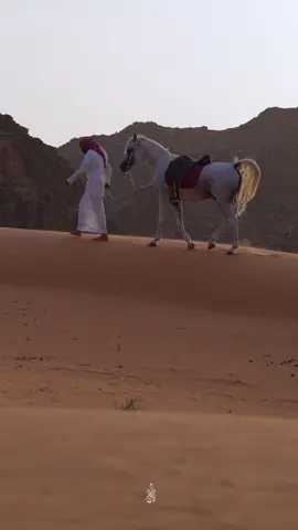 للي فاهم التصوير اوتو ولا يدوي ؟                                                #حايل #البر #الشتاء #شيله #تصويري #خيل_عربي_اصيل #خيل 