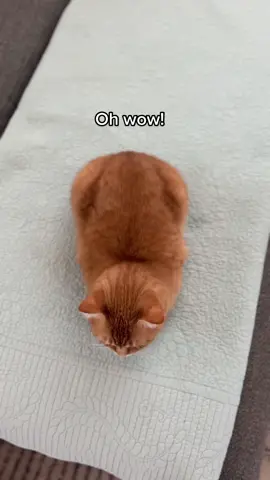 another loaf check! 