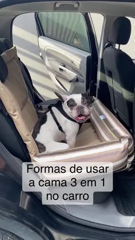 Essa caminha se adapta para usar no carro de várias formas 🙌🏻 Banco protegido e doguinho confortável!! #doguinhos #BookTokBrasil #cachorrofofo #cachorrosengraçados #cães #doguinho #AnimaisNoTikTok #cachorrotiktok #cachorrosfofinhos #filhotesfofos #cachorro #maedecachorro #maedepet #cachorros 