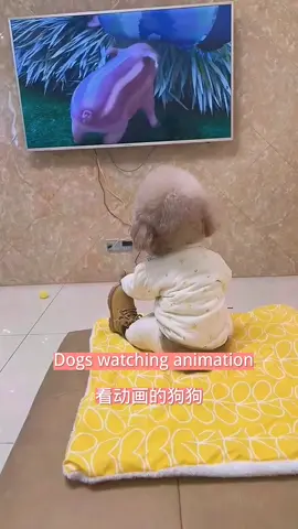 #我要上热门 #fyp#foryou#tiktok#Dogs Watching animation
