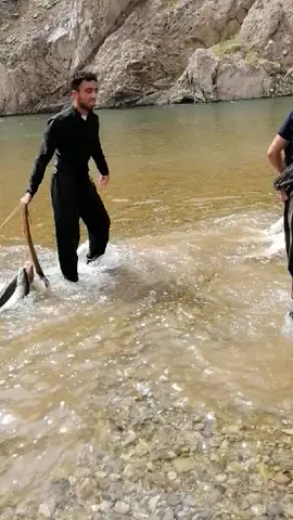 تەوەنەوەل 
