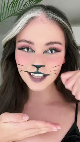 🐱🖤