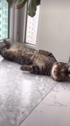☺️