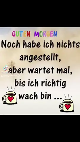 #foryou #fyfyfy #fyp #gutenmorgen #aufstehen #schöntageuch #kaffee #☕️