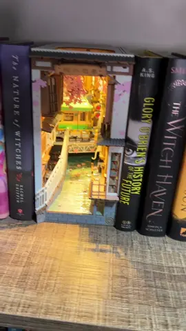Eu amei como ficou, agora já quero todos 🤒 #BookTok #booknook #booktokbrasil #bookshelf #bookstan #livros #estantedelivros 