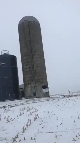 Destruction d'un silo à grain Le faire tomber à la vertical aurait été d'un banal🏗❌️ #demolition 